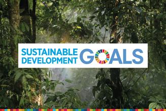 Certificazione FSC e Obiettivi di Sviluppo Sostenibile: le aziende si raccontano a Ecomondo 2017