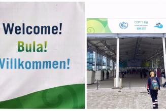 Foreste e cambiamenti climatici: il Forest Stewardship Council al COP23