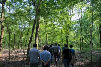 Pubblicato lo Standard Nazionale FSC per la gestione responsabile delle foreste italiane