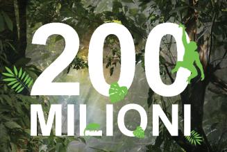 200 milioni di ettari di foreste FSC nel mondo