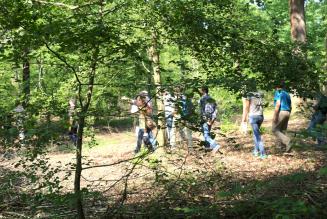 Opportunità ed innovazione: il nuovo standard FSC di gestione forestale nazionale