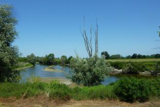 Pioppicoltura e certificazione responsabile, un nuovo traguardo raggiunto
