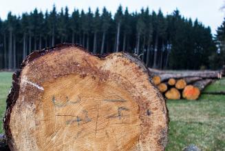 Seminario sulla EUTR: LEGNOK e gli strumenti FSC