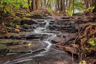 Pubblicata la nuova procedura sui servizi ecosistemici FSC