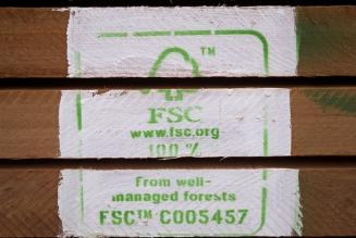 Il Gabon sceglie la gestione responsabile delle proprie foreste