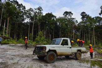 Iniziata la fase di studio per incorporare nella Catena di Custodia FSC gli indicatori e i criteri ILO