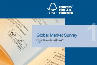 Completa la Global Market Survey 2018