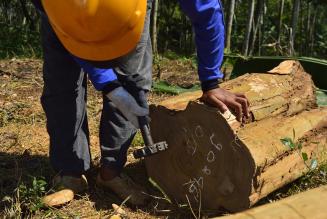 Aggiornamenti sullo stato delle Analisi Nazionali del Rischio FSC