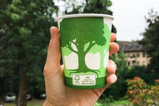 Carta e legno: un’ottima alternativa alla plastica usa e getta