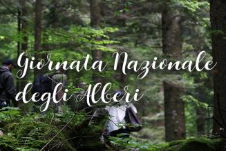 Giornata Nazionale degli Alberi 2018: un’occasione per capire l’importanza della gestione forestale pianificata