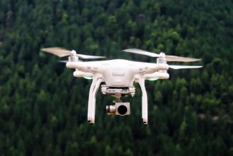 Verso la digitalizzazione: FSC e le foreste del futuro