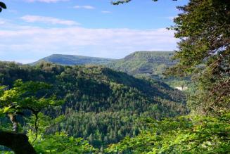 FSC aderisce al Forum Mondiale per i Paesaggi