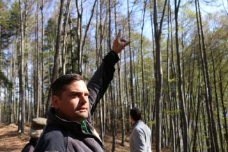 Iniziato il processo per incorporare nella Catena di Custodia FSC gli indicatori e i criteri ILO