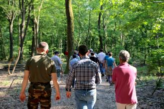 Attivo il gruppo di lavoro tecnico per lavorare sulla certificazione di gruppo in ambito forestale