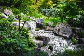 Servizi ecosistemici e foreste: dall’Italia un nuovo modello per misurare i benefici degli alberi