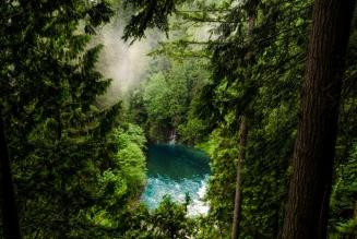 International Water Day: celebriamo il ruolo delle foreste!