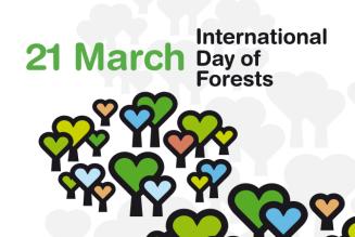 Una Giornata Internazionale delle Foreste all’insegna della conoscenza