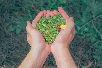 Territorio e foreste al centro di un convegno sulla land stewardship