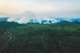 Amazzonia in fiamme: oltre a fermare gli incendi, dobbiamo pensare al futuro