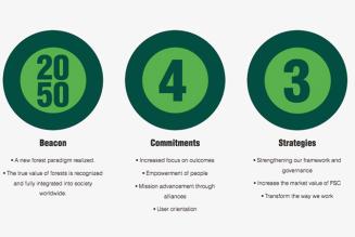 Pubblicato il report annuale 2018 di FSC International