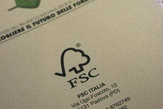 Checkmark-and-tree: ecco com'è nato il logo FSC