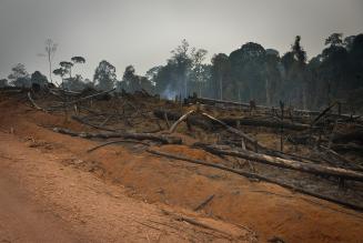 Deforestazione e consumer footprint: un workshop su consumi e sostenibilità