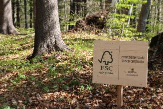 Aperta la consultazione sullo Standard di Certificazione di Gestione Forestale di Gruppo