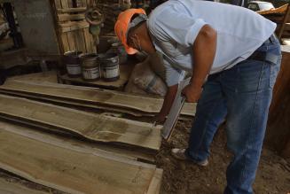 Import UE di legname tropicale sostenibile può avere impatti positivi su ulteriori 12,5 milioni di ettari di foreste