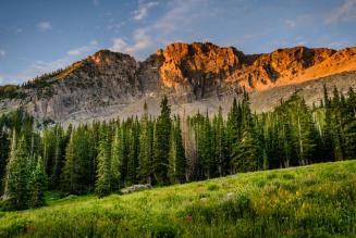 Aperte le consultazioni sul nuovo Piano Strategico Globale di FSC