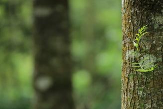 Consultazione aperta sugli indicatori generici internazionali per l’uso di pesticidi altamente pericolosi