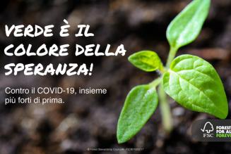 Verde è il colore della speranza