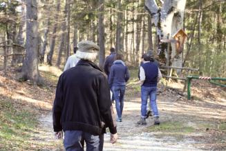 Aperta la seconda consultazione per lo Standard di gruppo in ambito forestale