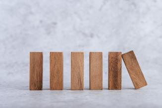 Disposta la verifica delle transazioni nelle catene di fornitura dei generi Mangifera e Dalbergia