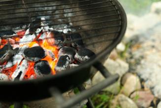 Cosa c’è sulla griglia?