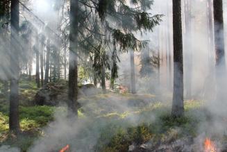 I nuovi incendi boschivi tra Antropocene e Pirocene