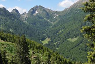 Anche la Magnifica Comunità di Fiemme ora punta sulla valorizzazione dei servizi forestali naturali