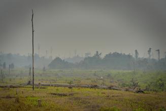 Global Biodiversity Outlook 5: “L’umanità si trova ad un bivio”
