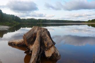 In Russia un’azienda preserva preziose aree forestali utili alla riproduzione dei pesci