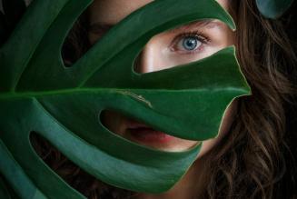 Settore tessile e foreste protagoniste di un nuovo webinar