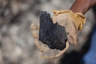 La carbonella più green arriva dalla Namibia