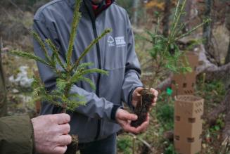 Ripartiamo dal bosco: lettera aperta a due anni da Vaia