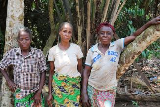 Salvare le foreste del Congo assieme alle comunità Baaka
