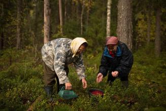 Le piccole comunità forestali sono lo strumento più efficace di resilienza