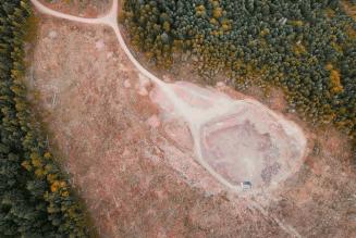 Il contributo di FSC alla consultazione pubblica su EUTR e FLEGT