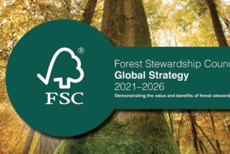 FSC International presenta la strategia 2021-2026