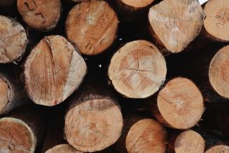 Ritirata l’ADVICE-40-004-19 sulle specie legnose e pubblicate nuove interpretazioni su CoC e Legno Controllato