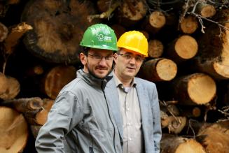 Rivisto e approvato lo standard di gestione forestale di gruppo FSC