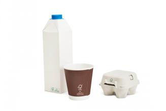 Certificazione FSC in Italia: il report 2020