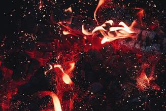 Webinar “Biomasse legnose: opportunità o problema per la mitigazione della crisi climatica?”