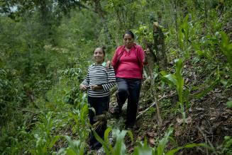 Le donne sono al centro della nostra promessa di più foreste per tutti, per sempre